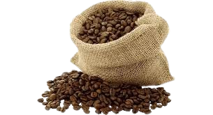 cocoa
