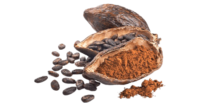 cocoa