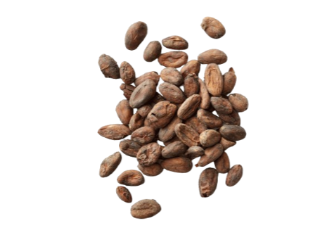 cocoa