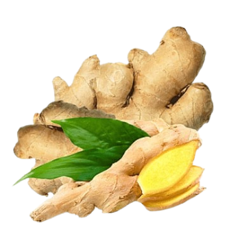 ginger
