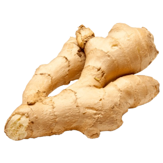 ginger