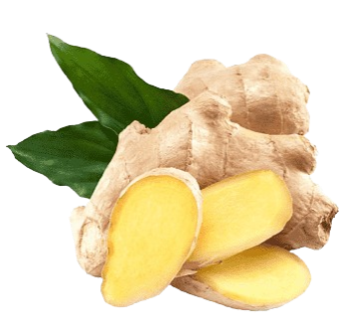 ginger