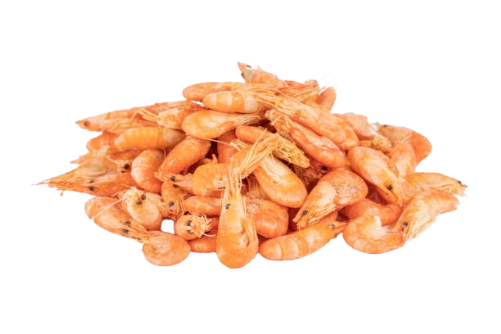 prawn