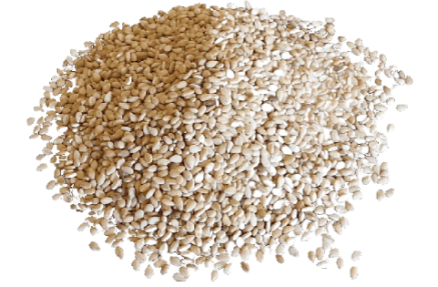 sesame