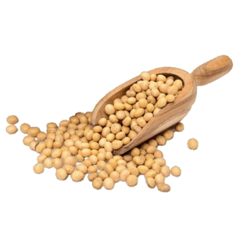 soybeans