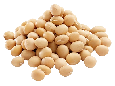 soybeans