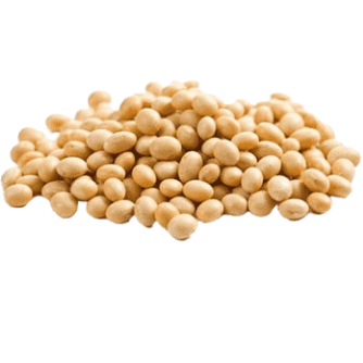 soybeans